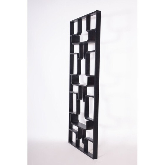 Image 1 of Mid century scheidingswand van Ludvik Volak voor Drevopodnik Holesov, 1960