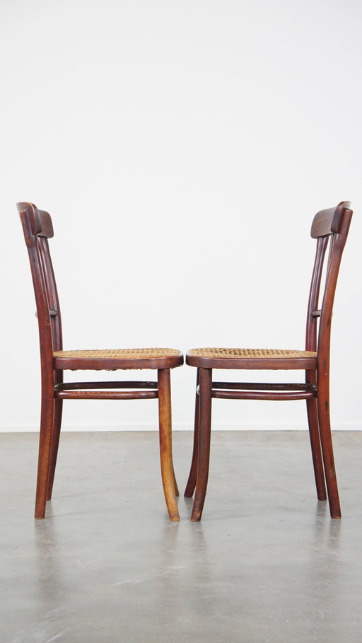 2 X Vintage Thonet Design Stoel