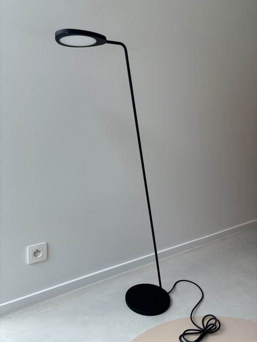 Muuto Blad Led Vloerlamp