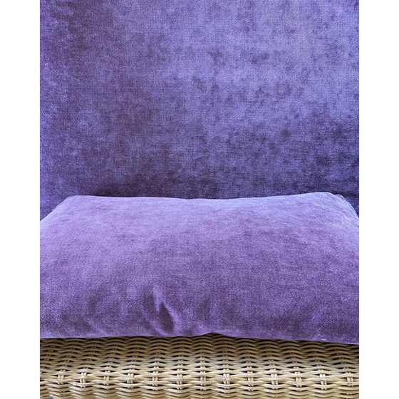 Image 1 of Paar vintage rotan fauteuils met fluwelen kussens, 1950