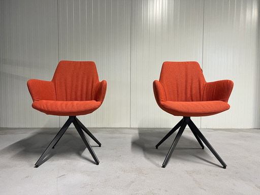 2 Nieuw Bert plantagie Maple stoelen