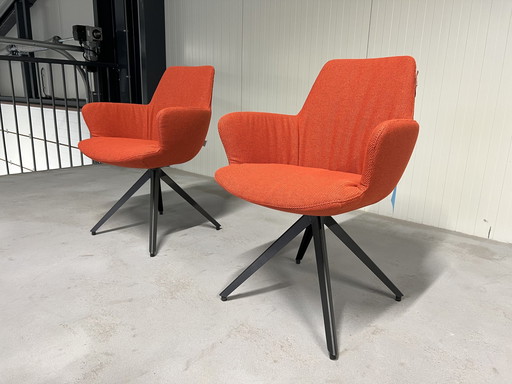 2 Nieuw Bert plantagie Maple stoelen