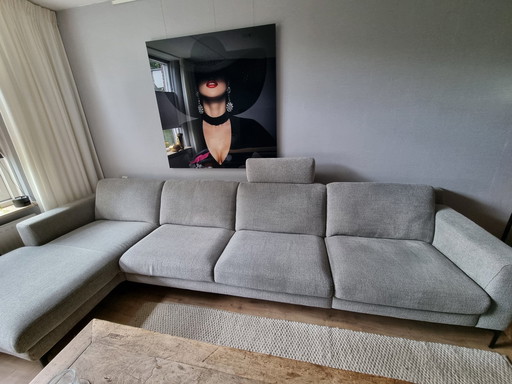 Montel Montelex Plus Loungebank