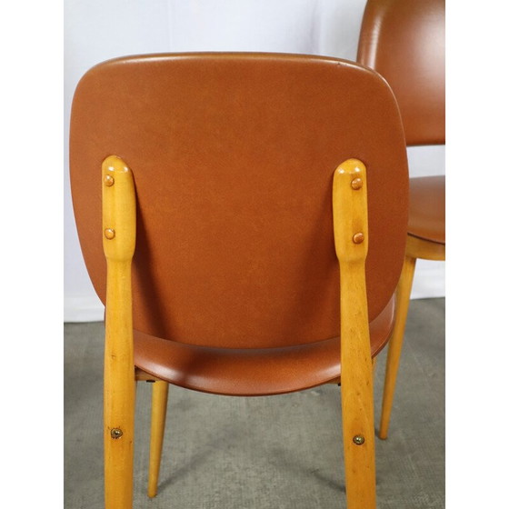 Image 1 of Set van 4 vintage Baumann stoelen model Pegasus, 1960