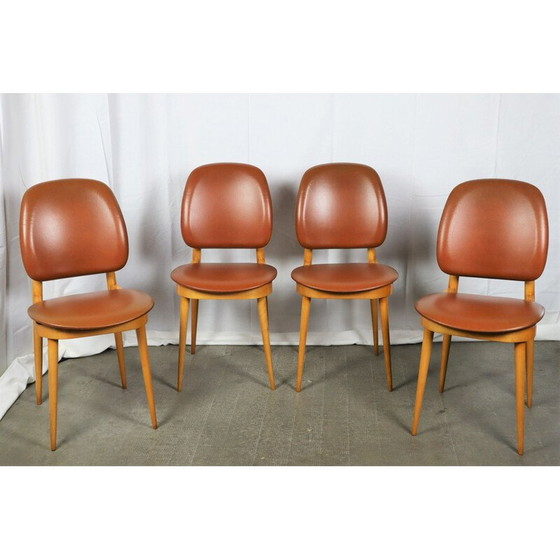 Image 1 of Set van 4 vintage Baumann stoelen model Pegasus, 1960