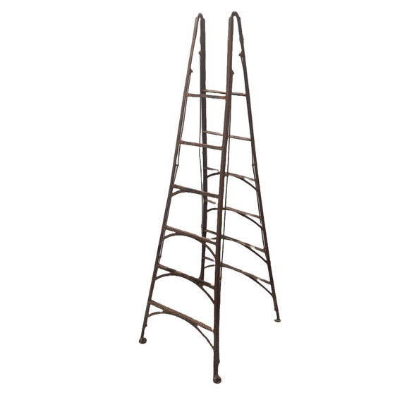 Image 1 of Oude Frans Industriële Metalen Ladder, Begin 20E Eeuw