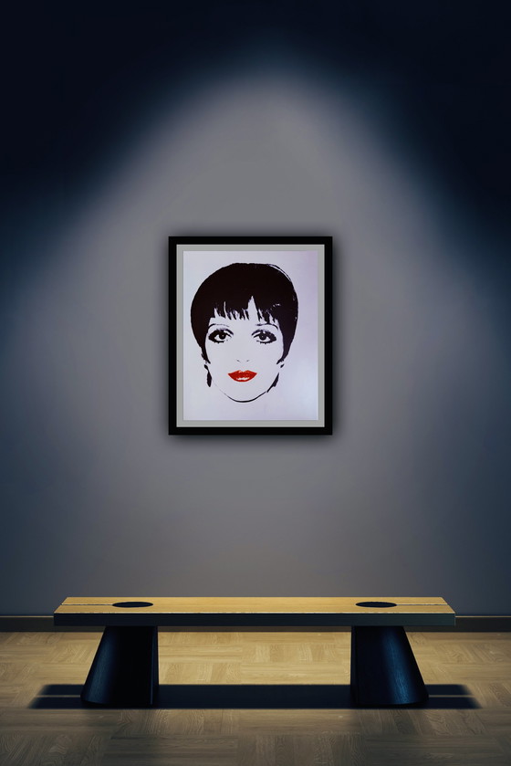 Image 1 of Andy Warhol: “Liza Minnelli, 1978”.