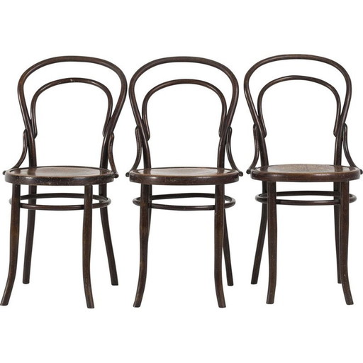 Set van 3 vintage gebogen houten stoelen van Mundus Wenen Oostenrijk, jaren 1920