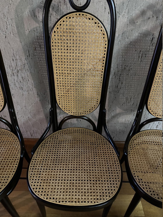 Image 1 of 6X Hoge Vintage Thonet Stoel Model Long John