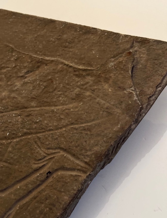 Image 1 of Uiterst Zeldzame Neolithische Rotsgravure 5000/10000 BC / Museumstuk