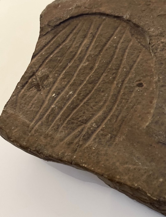 Image 1 of Uiterst Zeldzame Neolithische Rotsgravure 5000/10000 BC / Museumstuk