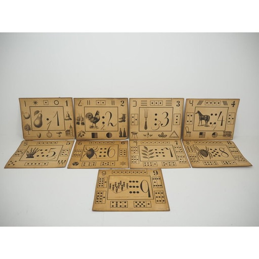 Set van 9 vintage onderwijsposters van Litography A. Haase, Praag 1900