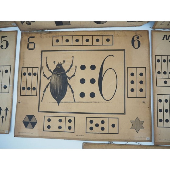 Image 1 of Set van 9 vintage onderwijsposters van Litography A. Haase, Praag 1900