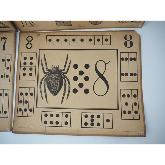 Image 1 of Set van 9 vintage onderwijsposters van Litography A. Haase, Praag 1900