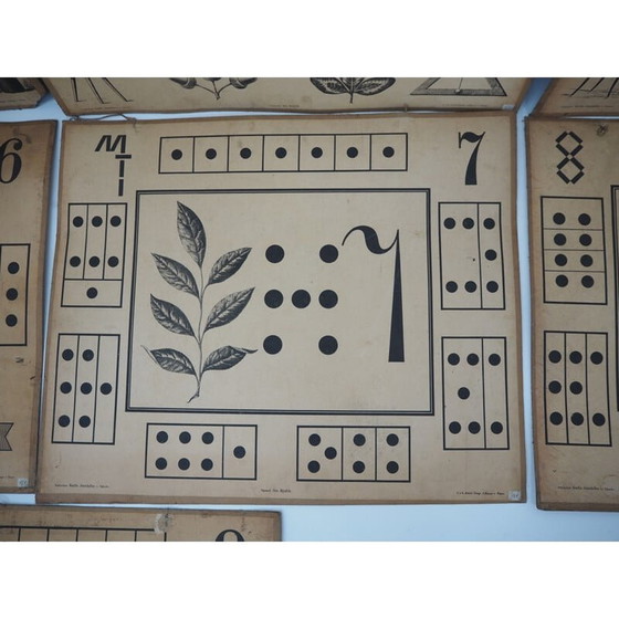 Image 1 of Set van 9 vintage onderwijsposters van Litography A. Haase, Praag 1900