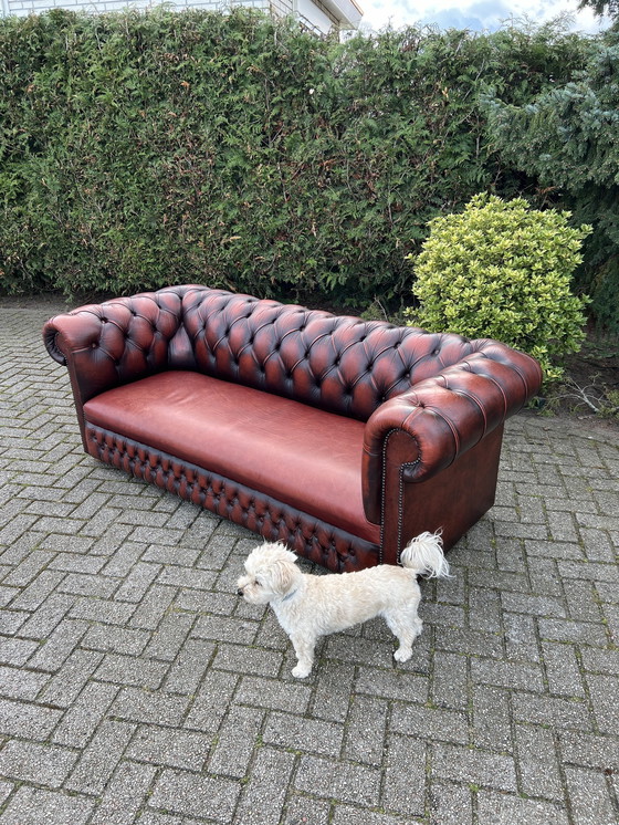 Image 1 of Chesterfield Stijl Bank Bruin Rood