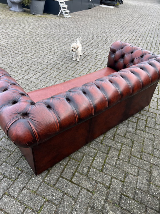 Image 1 of Chesterfield Stijl Bank Bruin Rood