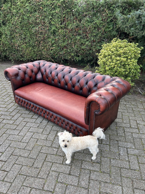 Image 1 of Chesterfield Stijl Bank Bruin Rood