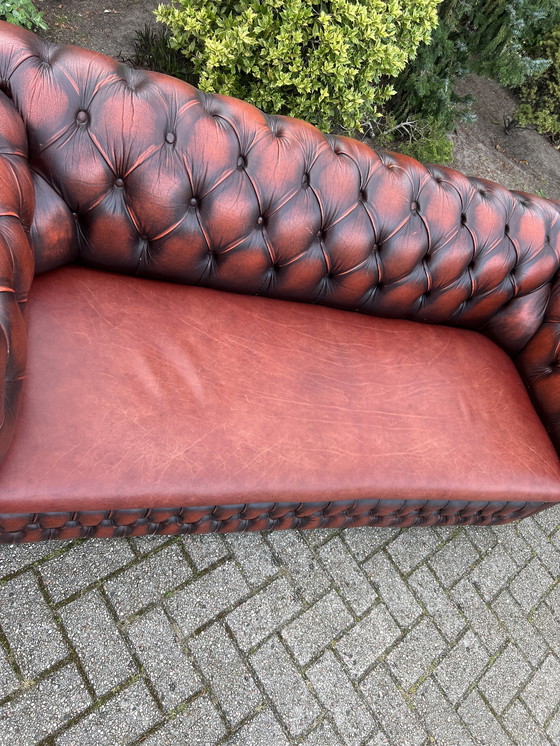 Image 1 of Chesterfield Stijl Bank Bruin Rood