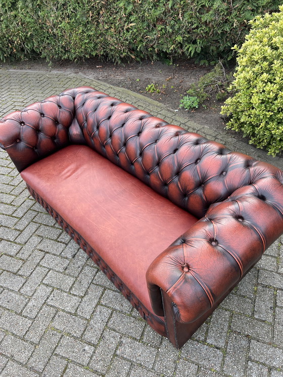 Image 1 of Chesterfield Stijl Bank Bruin Rood