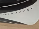 Ligne Roset Les Oiseaux Vaas