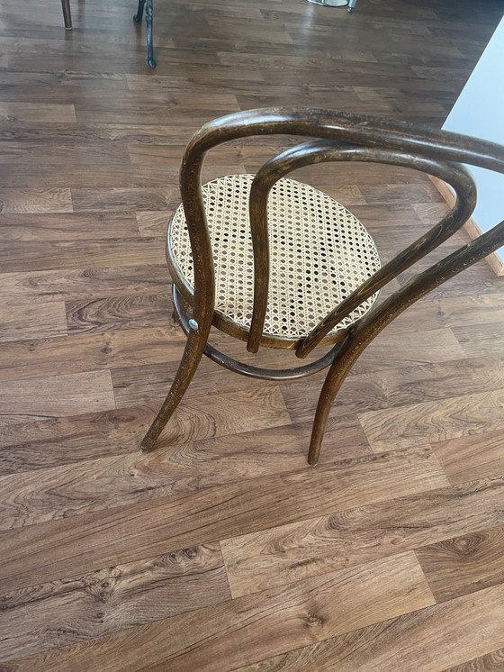 Image 1 of 8 x Thonet stoel en 1 barkruk