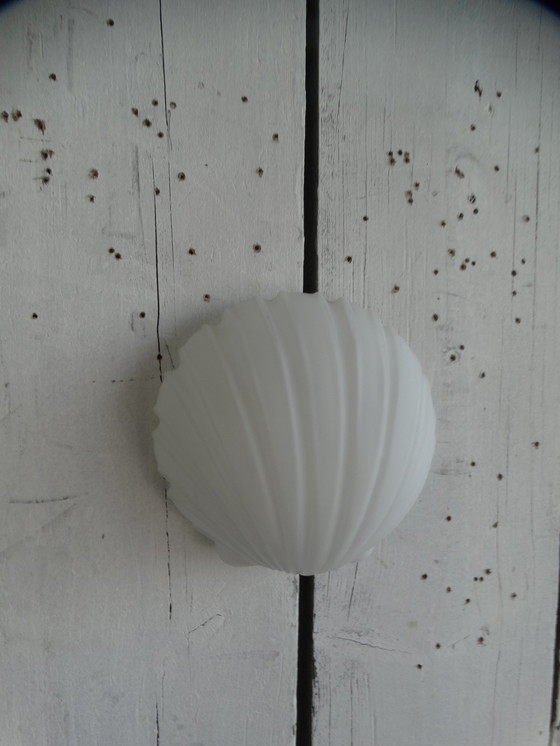 Image 1 of Glashutte Limburg Shell Lamp 2808