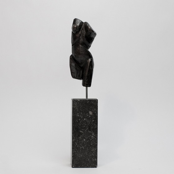 Image 1 of Fritz Van Eeden Set Van Twee Torso,S Boy En Girl In Brons 