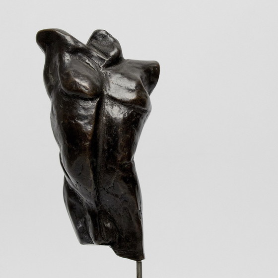 Image 1 of Fritz Van Eeden Set Van Twee Torso,S Boy En Girl In Brons 