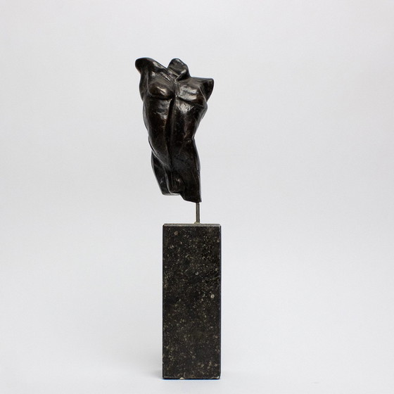 Image 1 of Fritz Van Eeden Set Van Twee Torso,S Boy En Girl In Brons 