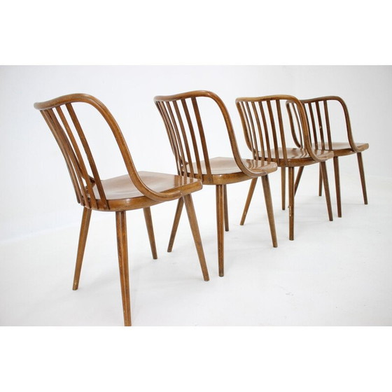 Image 1 of Set van 4 vintage stoelen Antonin Suman, Tsjecho-Slowakije 1960