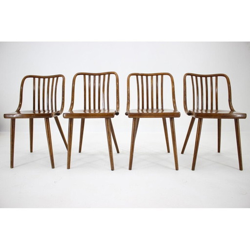 Set van 4 vintage stoelen Antonin Suman, Tsjecho-Slowakije 1960