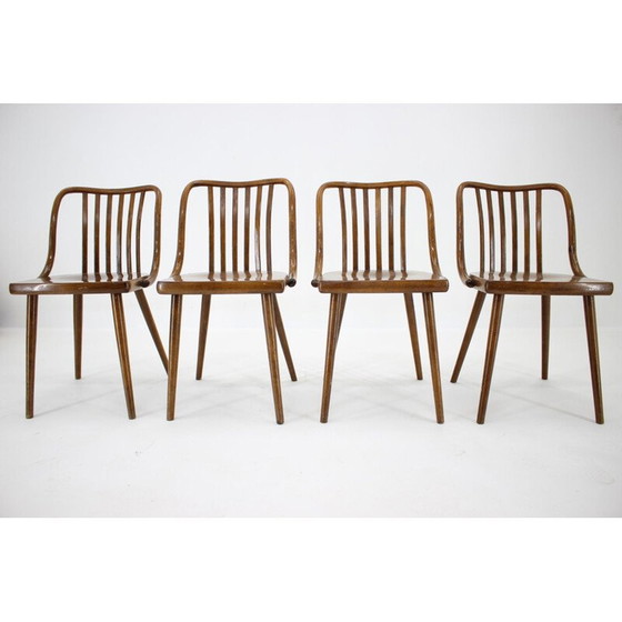 Image 1 of Set van 4 vintage stoelen Antonin Suman, Tsjecho-Slowakije 1960