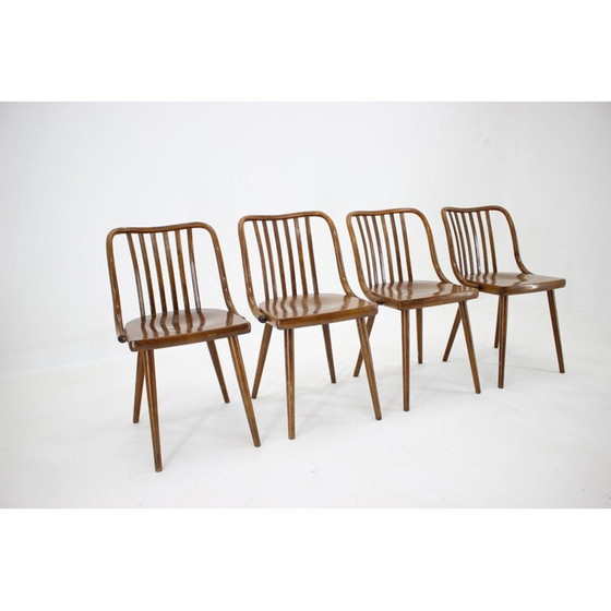 Image 1 of Set van 4 vintage stoelen Antonin Suman, Tsjecho-Slowakije 1960