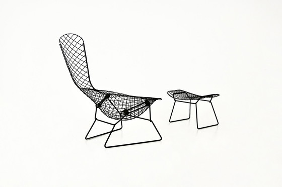 Image 1 of Vogelstoel met Ottoman van Harry Bertoia voor Knoll, 1960S