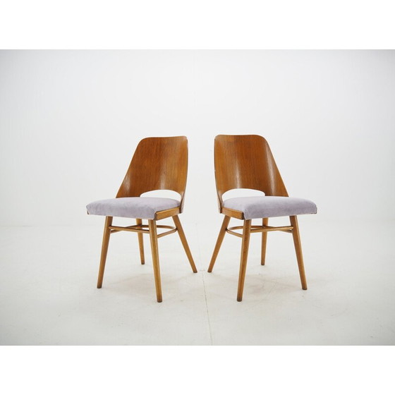 Image 1 of Paar vintage eetkamerstoelen, Ton, ontworpen door Oswald Haerdtl, jaren 1950