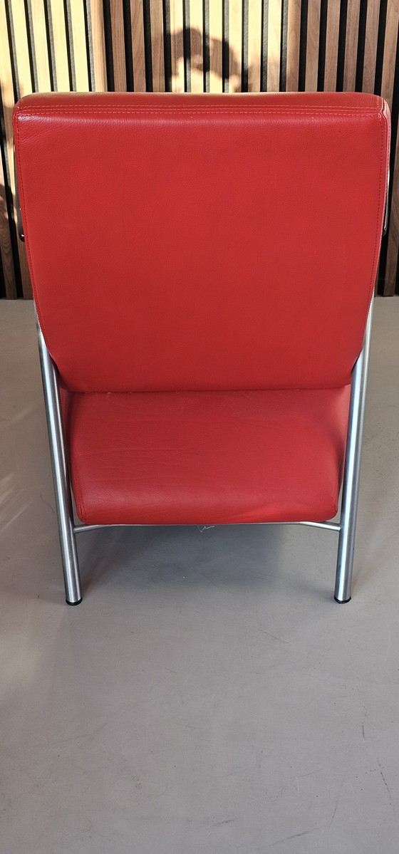 Image 1 of Gelderlander 5770 Jan Des Bouvrie