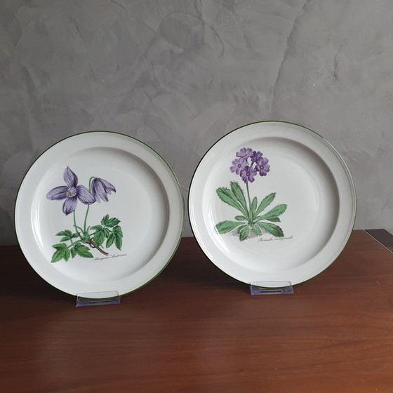 Image 1 of Servies Van Seltman Weiden Renate Bloemen Met Latijnse Benaming