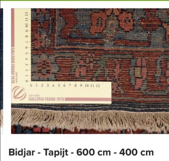 Image 1 of Bidjar kleed 600 X 400