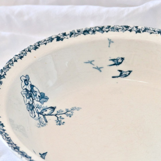 Image 1 of 19e Eeuw Holle Schotel / Saladekom Terracotta Vogels Choisy-Le-Roi