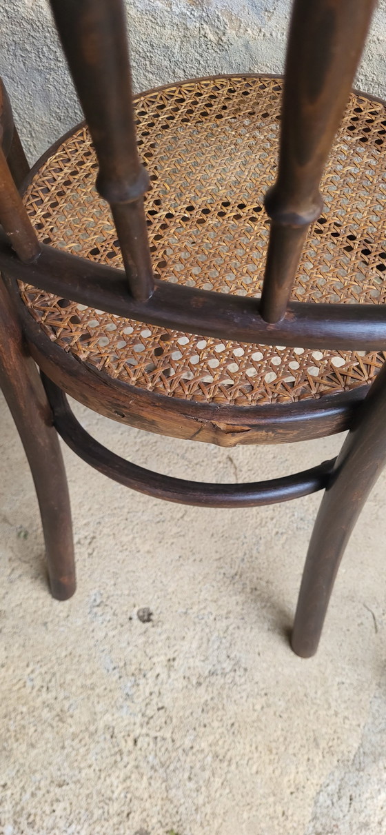 Image 1 of 4 Fischel Bentwood Bistro Stoelen 1920/30