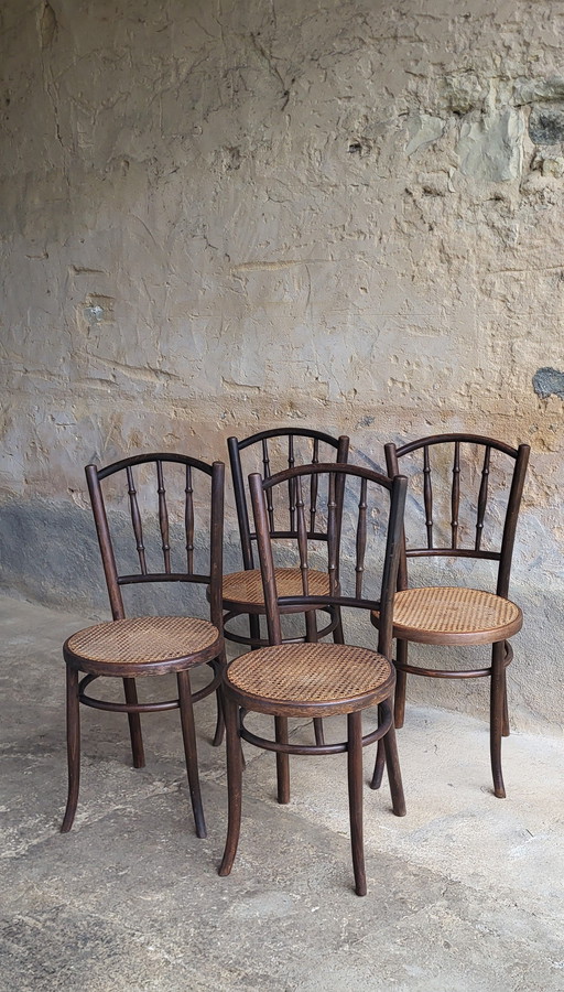 4 Fischel Bentwood Bistro Stoelen 1920/30