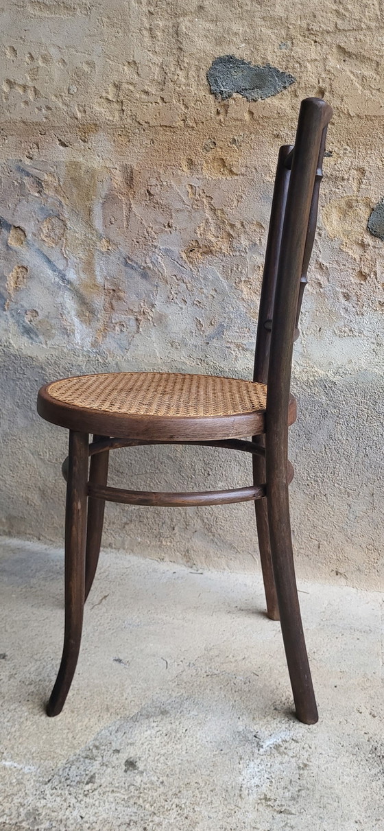 Image 1 of 4 Fischel Bentwood Bistro Stoelen 1920/30