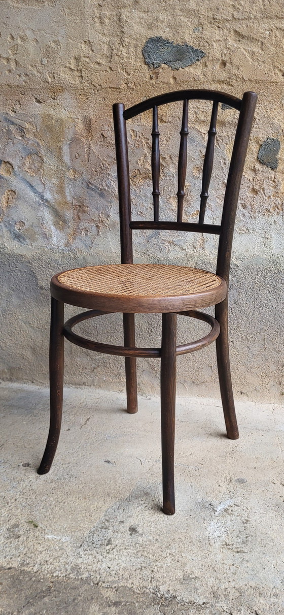 Image 1 of 4 Fischel Bentwood Bistro Stoelen 1920/30