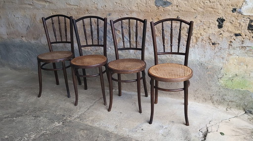 4 Fischel Bentwood Bistro Stoelen 1920/30