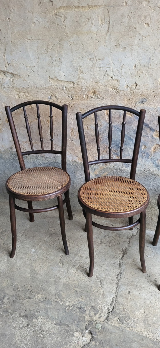 Image 1 of 4 Fischel Bentwood Bistro Stoelen 1920/30