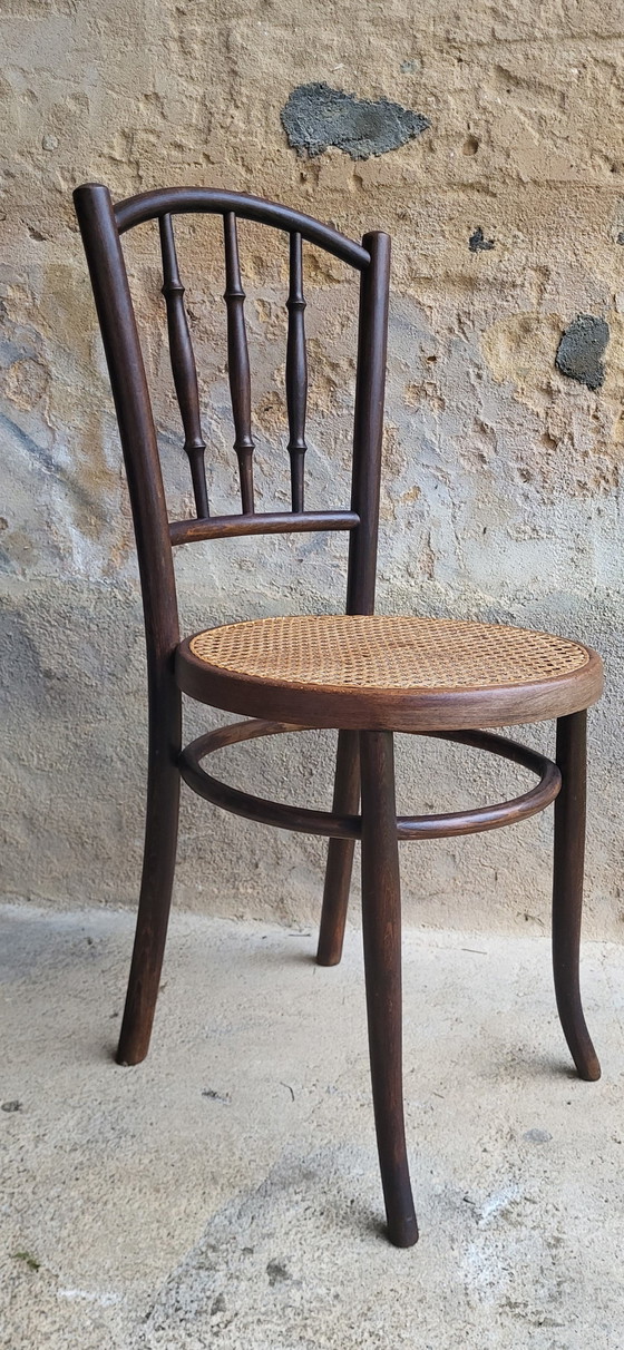 Image 1 of 4 Fischel Bentwood Bistro Stoelen 1920/30