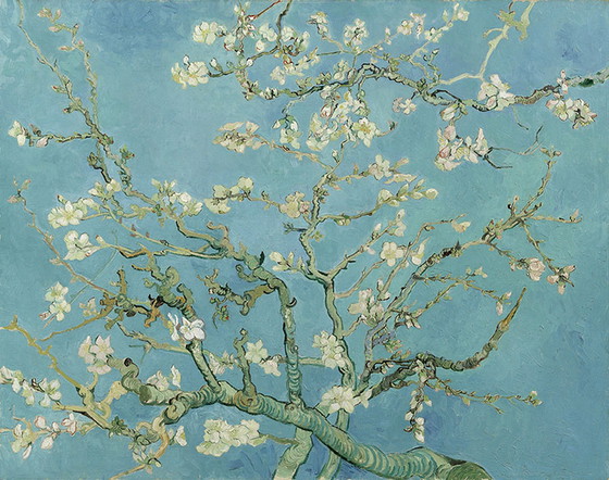 Image 1 of Vincent van Gogh - Amandelbloesem