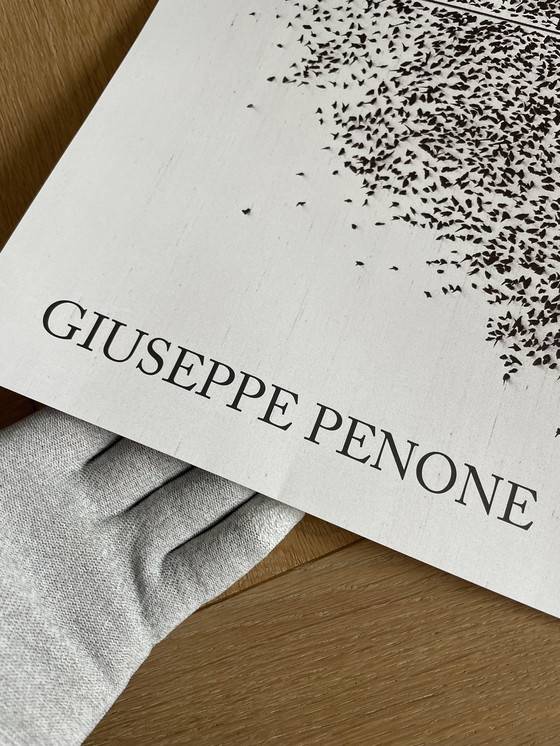 Image 1 of Giuseppe Penone, Contatto-Occhio Destro Di R. . . (2009), originele tentoonstellingsaffiche, gedrukt in Groot-Brittannië