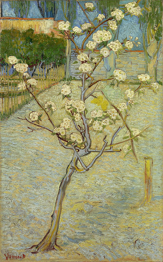 Image 1 of Vincent van Gogh - Perenboompje in bloei